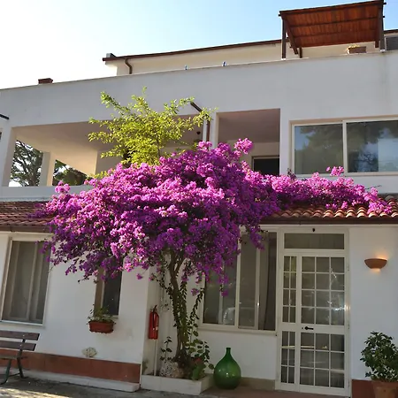 Residenza Collina Dei Pini 3* Vieste